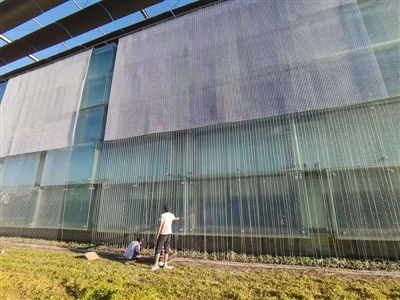 Wie wählt man einen LED-Maschenschirm für die Gebäudebeleuchtung aus? Wichtig...