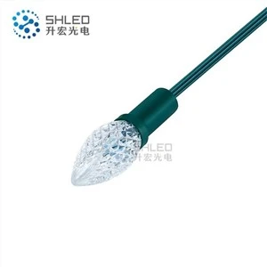 Weihnachtsdekorative LED-C9-Schnur-Lichter im Freien